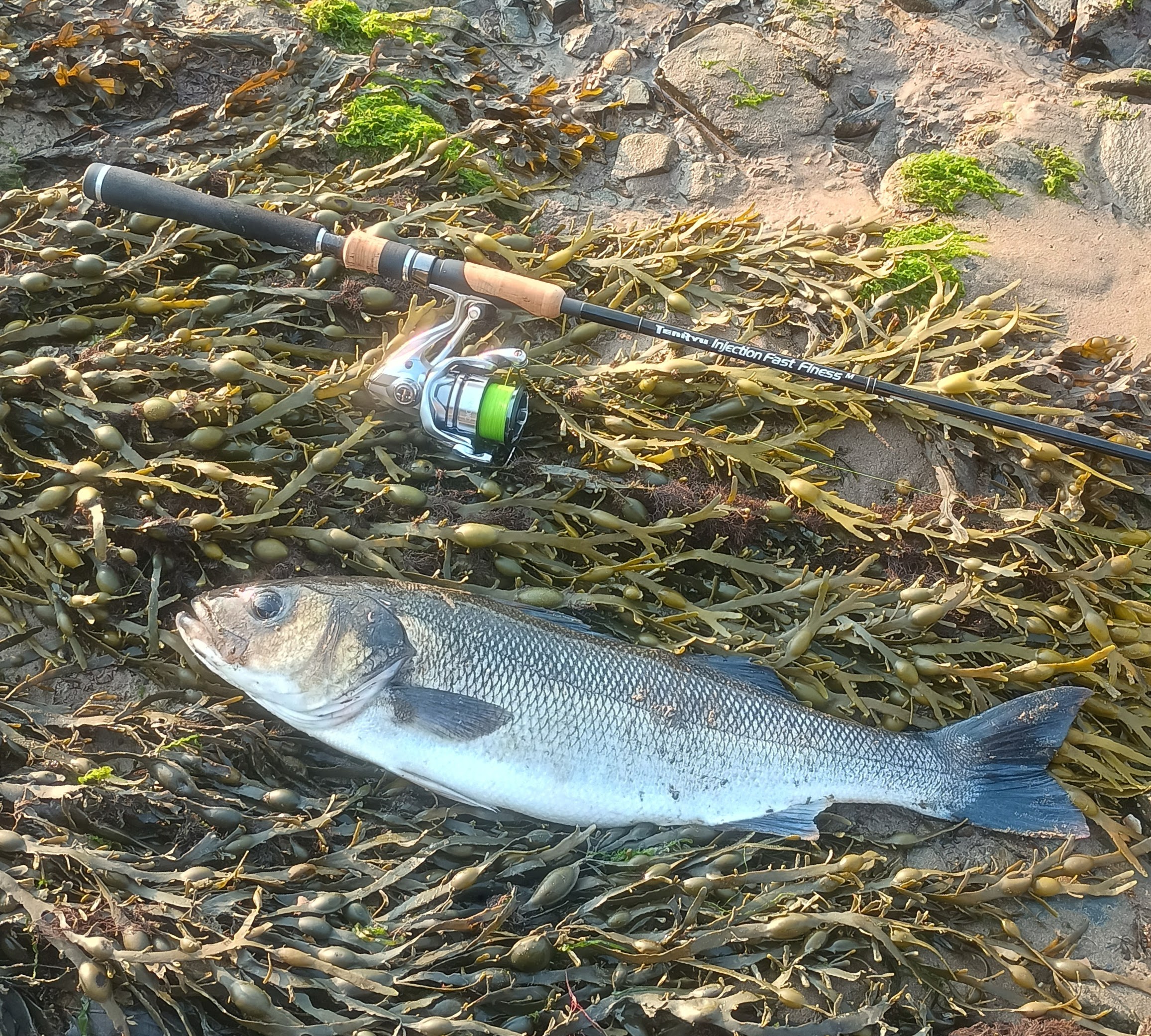 Lure Adventures